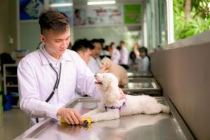 Phòng khám thú y uy tín nhất tỉnh Ninh Bình