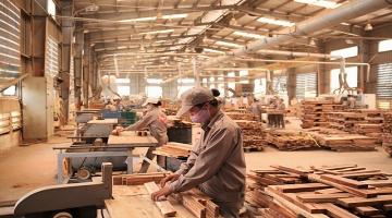 Công ty sản xuất và chế biến gỗ công nghiệp uy tín, giá tốt tại Hà Nội