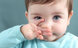 Bình xịt mũi, nước nhỏ mũi giúp làm sạch mũi, trị sổ mũi hiệu quả nhất cho bé yêu