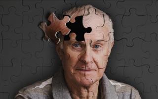 Cách phòng ngừa bệnh đãng trí ở người già