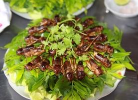 Món ăn từ côn trùng lạ nhất Việt Nam