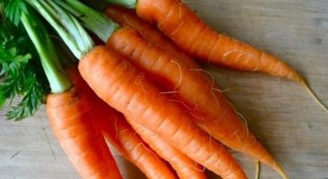 Công dụng cho sức khỏe  của cà rốt