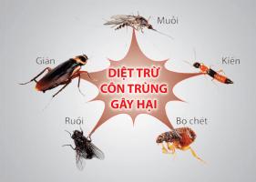 Công ty có dịch vụ kiểm soát côn trùng uy tín nhất Việt Nam