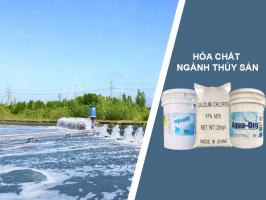 Công ty cung cấp hóa chất thủy sản uy tín nhất Hà Nội