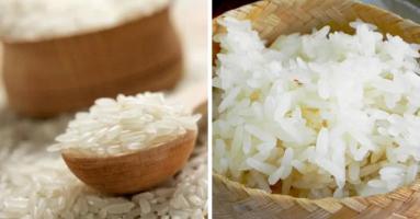 Đại lý bán gạo uy tín, chất lượng nhất tỉnh Tuyên Quang