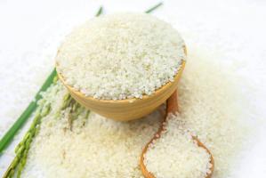 Đại lý bán gạo uy tín, chất lượng nhất tỉnh Quảng Bình