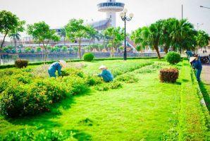 Dịch vụ chăm sóc cây xanh, cảnh quan chuyên nghiệp nhất tỉnh Khánh Hòa