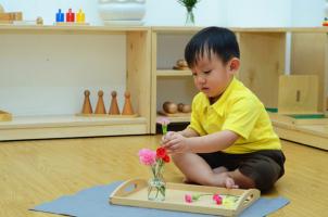 Hoạt động Montessori khám phá thế giới qua đôi bàn tay của trẻ từ 0 đến 3 tuổi