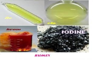 điều thú vị về nhóm Halogen trong hóa học có thể bạn muốn biết