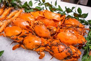 Nhà hàng buffet hải sản miễn phí cua - ghẹ ngon nhất tại Hà Nội