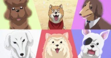 Anime về loài chó hay nhất