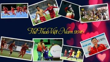 Sự kiện thể thao Việt Nam tiêu biểu nhất năm 2016
