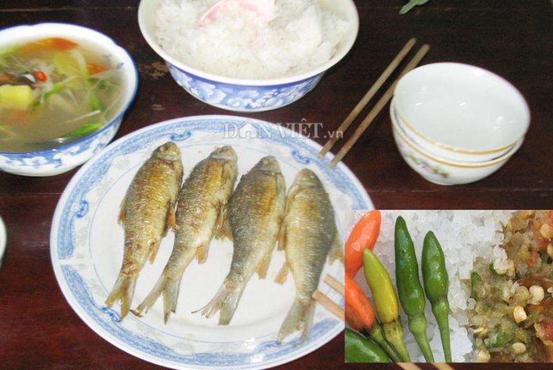 Cá niêng nướng món ăn dân dã của người dân miền núi Quảng Ngãi