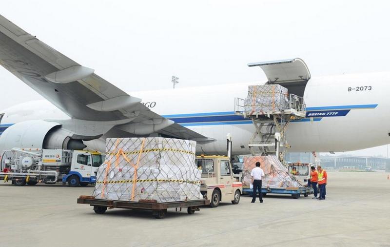  dịch vụ vận tải container - Dương Minh logistics