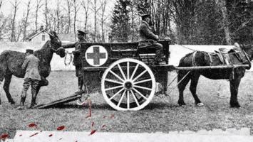 Căn bệnh phổ biến nhất trong chiến tranh thế giới thứ nhất