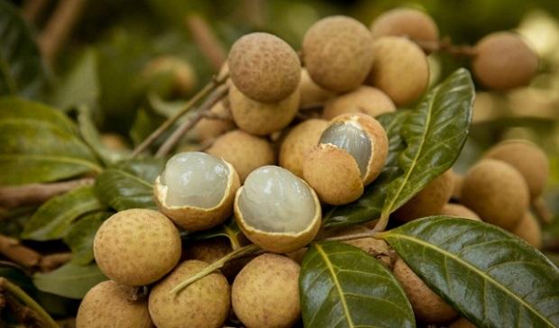 Top 12 Đặc sản nổi tiếng nhất tỉnh Hưng Yên