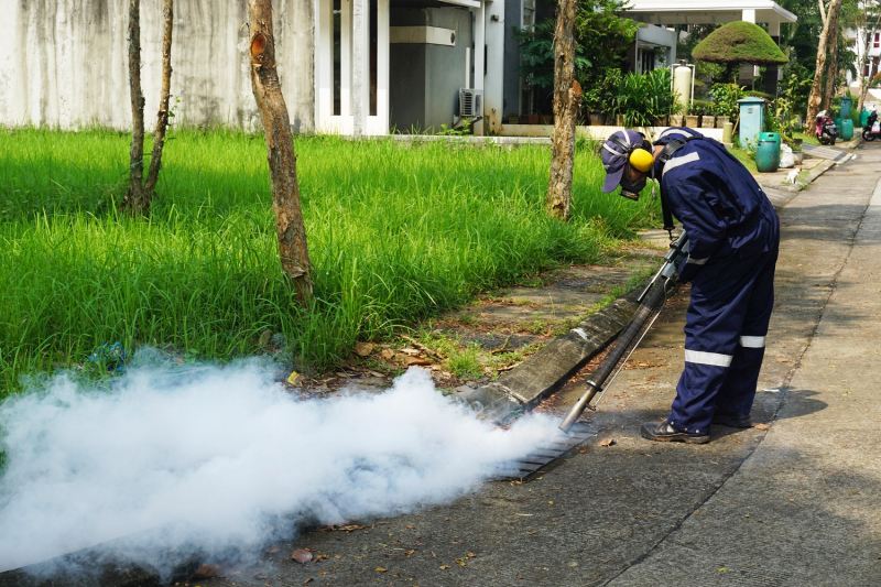 Top 11 Công ty cung cấp dịch vụ diệt côn trùng uy tín miền Bắc