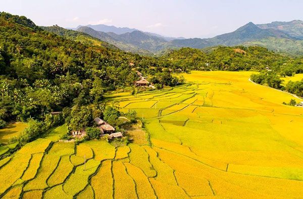 Bài văn phân tích bài thơ 