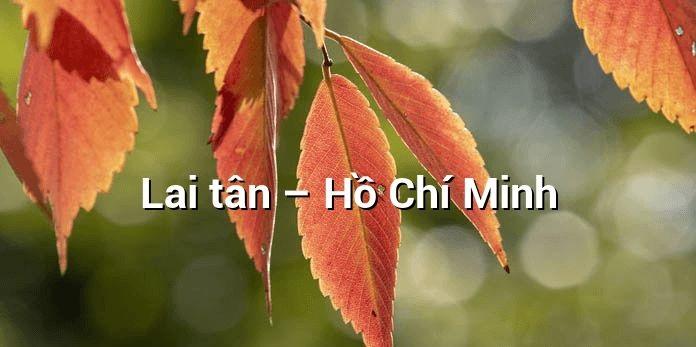 Bài văn phân tích tác phẩm 