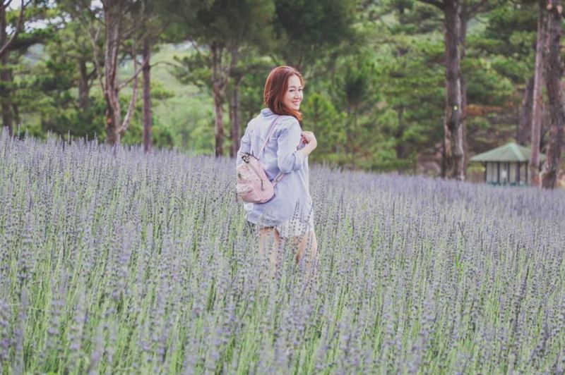 Cánh đồng hoa Lavender thung lũng tình yêu