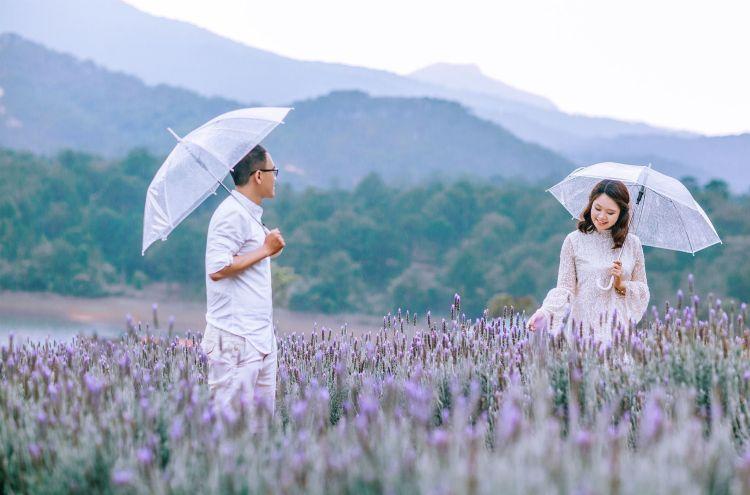 Cánh đồng hoa Lavender Tuyền Lâm