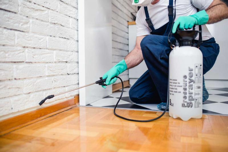 Top 8 Công ty dịch vụ diệt muỗi tốt nhất tại TP. HCM