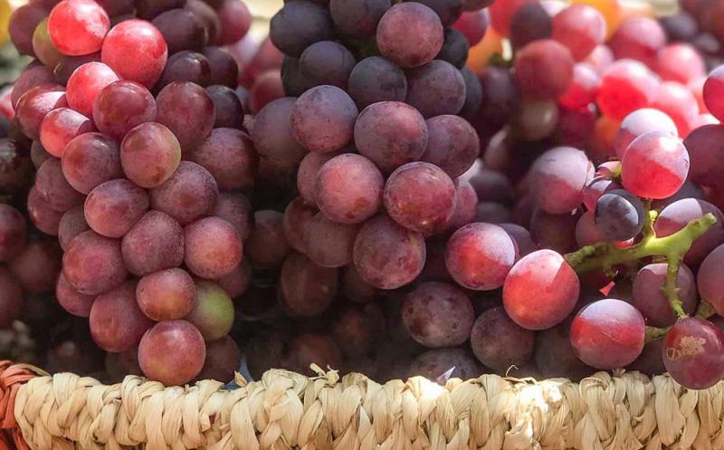 Top 10 Đặc sản nổi tiếng nhất Phan Rang - Ninh Thuận