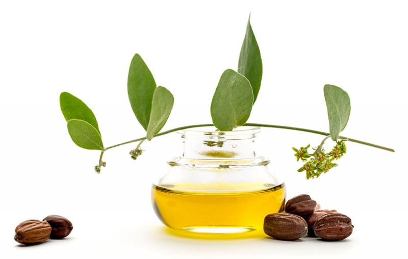 Dầu hạt Jojoba (Jojoba Seed Oil)