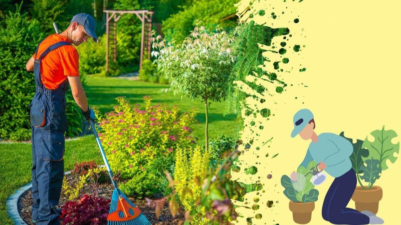 Top 4 Dịch vụ chăm sóc cây xanh, cảnh quan chuyên nghiệp nhất tỉnh Thanh Hóa