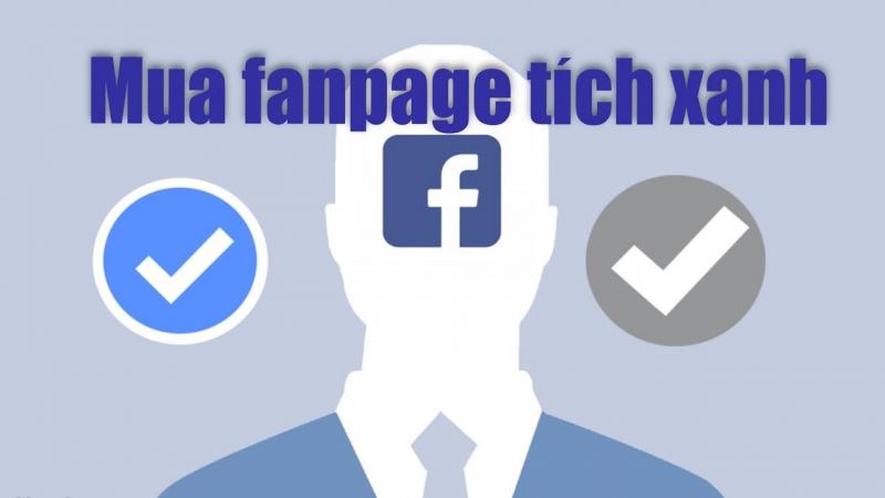 Top 6 Dịch vụ cho thuê Fanpage Tích Xanh uy tín nhất hiện nay