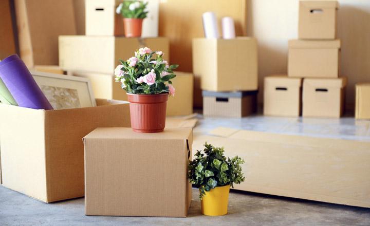 Top 7 Dịch vụ chuyển nhà trọn gói uy tín nhất tỉnh Gia Lai