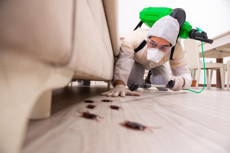 Top 2 Dịch vụ diệt mối, côn trùng uy tín nhất tỉnh Đắk Lắk