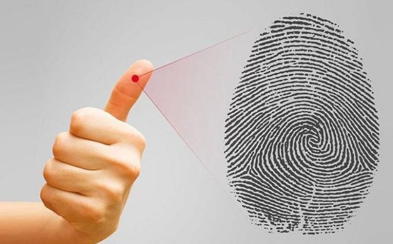 Top 3 Dịch vụ lấy sinh trắc vân tay uy tín nhất tỉnh Khánh Hòa
