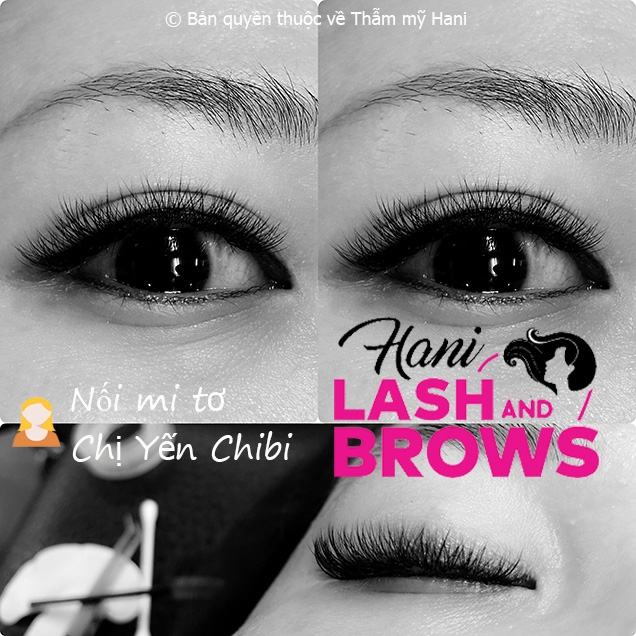 Nối Mi Hiện Đại Hani Lash & Brow