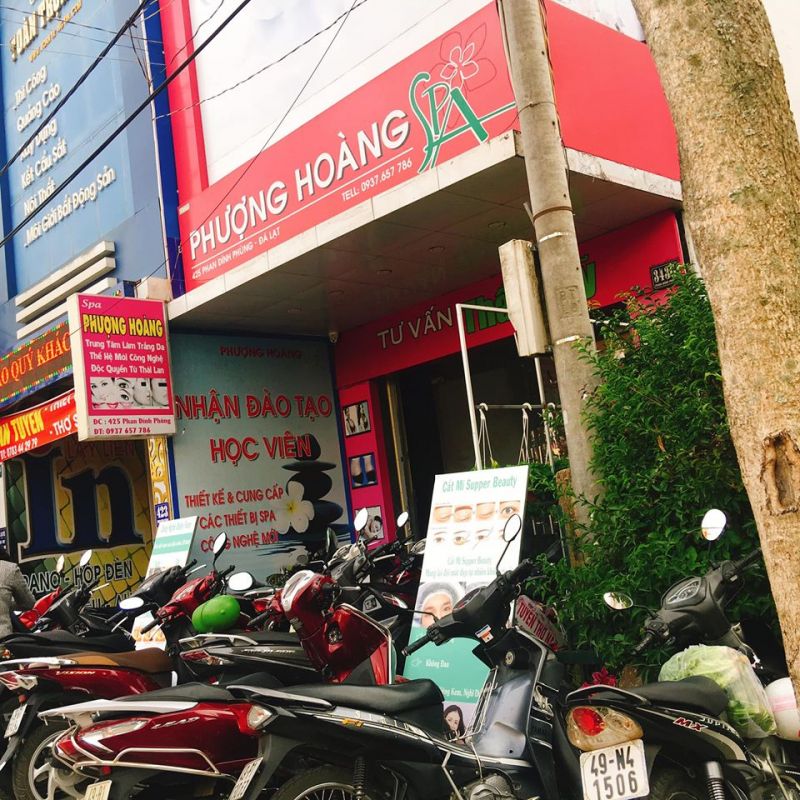 Phượng Hoàng Đà Lạt clinic & spa