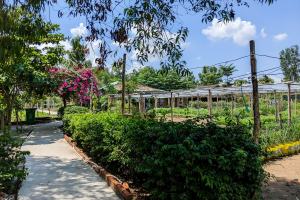 Nông trại xanh mát nhất Sài Gòn