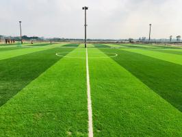 Sân bóng nhân tạo chất lượng nhất Bình Thuận