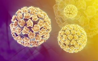 Sản phẩm tăng đào thải virus HPV tốt nhất