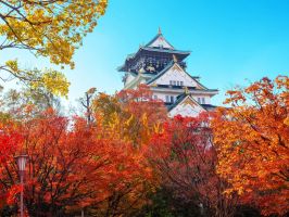 Công ty du lịch lữ hành hàng đầu Việt Nam