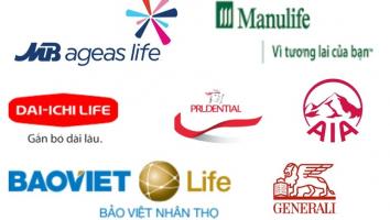 Công ty trong ngành Bảo hiểm Nhân thọ uy tín nhất Việt Nam