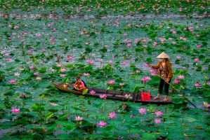 Bài hát về Đồng Tháp hay nhất