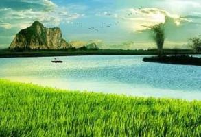 Bài thơ hay về làng quê Việt Nam