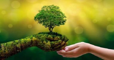 Bài văn nghị luận về quan điểm sống xanh và ý nghĩa của nó (điểm cao)