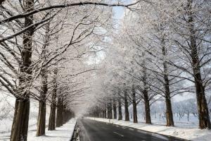 Bài văn phân tích tác phẩm Con đường mùa đông (Ngữ văn 11) hay nhất
