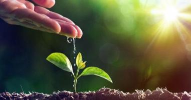 Bài văn thuật lại một sự việc thể hiện truyền thống Uống nước nhớ nguồn hay nhất