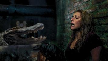 Top 10 Bộ phim về cá sấu đáng sợ nhất