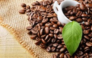 Loại cà phê Arabica phổ biến nhất tại Việt Nam