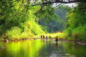 Câu ca dao, tục ngữ về Bình Phước hay nhất