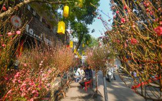 Chợ hoa Tết nổi tiếng nhất Hà Nội đón Xuân 2023