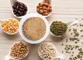 Cơ sở sản xuất thức ăn cho chim uy tín nhất Hà Nội